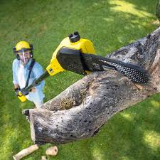 Mulching Services in Ladera Ranch, CA